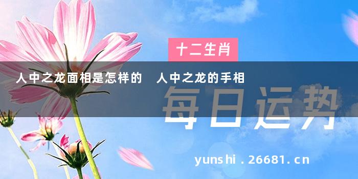 人中之龙面相是怎样的 人中之龙的手相